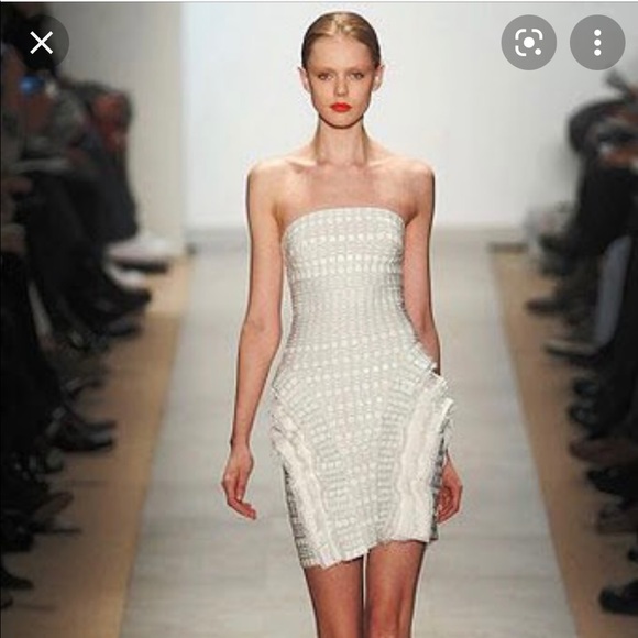 Herve Leger Runway Dress - Picture 1 of 3